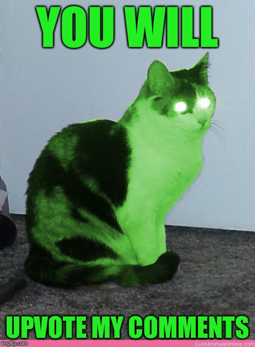 Hypno Raycat | YOU WILL UPVOTE MY COMMENTS | image tagged in hypno raycat | made w/ Imgflip meme maker