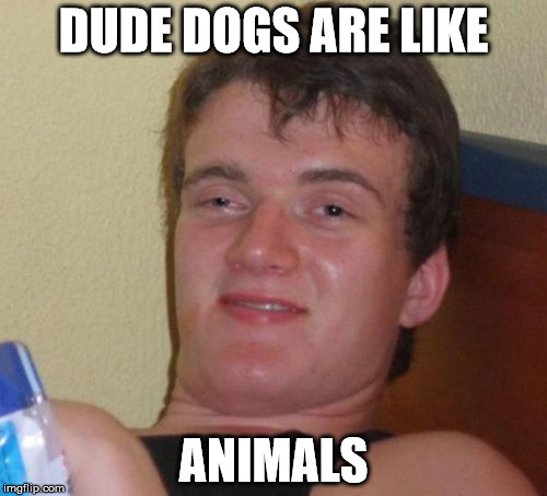 Animal Logic | DUDE DOGS ARE LIKE ANIMALS | image tagged in memes,10 guy | made w/ Imgflip meme maker