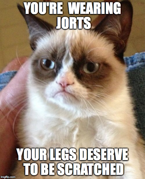 Grumpy Cat | YOU'RE  WEARING JORTS YOUR LEGS DESERVE TO BE SCRATCHED | image tagged in memes,grumpy cat | made w/ Imgflip meme maker