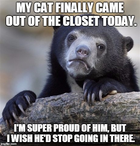 Confession Bear | MY CAT FINALLY CAME OUT OF THE CLOSET TODAY. I'M SUPER PROUD OF HIM, BUT I WISH HE'D STOP GOING IN THERE. | image tagged in memes,confession bear | made w/ Imgflip meme maker