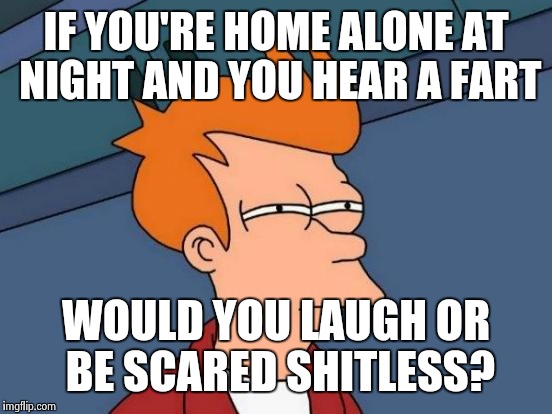 Futurama Fry Meme | IF YOU'RE HOME ALONE AT NIGHT AND YOU HEAR A FART WOULD YOU LAUGH OR BE SCARED SHITLESS? | image tagged in memes,futurama fry | made w/ Imgflip meme maker