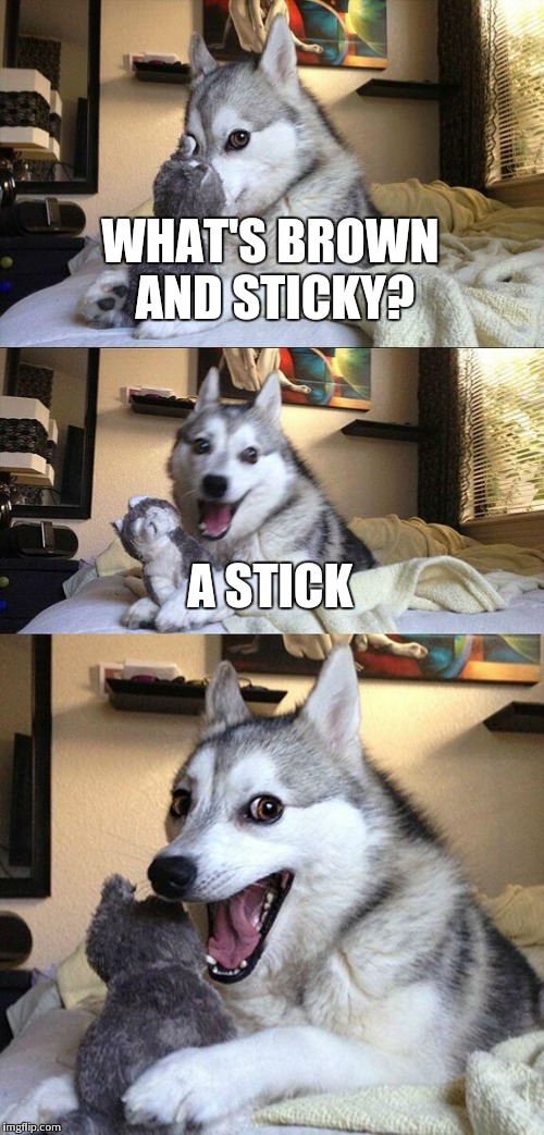 Bad Pun Dog Meme | WHAT'S BROWN AND STICKY? A STICK | image tagged in memes,bad pun dog | made w/ Imgflip meme maker