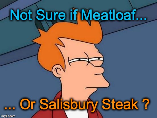 dinner was served but not told what it was | Not Sure if Meatloaf... ... Or Salisbury Steak ? | image tagged in memes,futurama fry | made w/ Imgflip meme maker