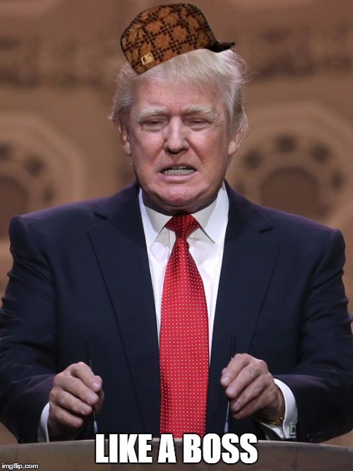 Donald Trump | LIKE A BOSS | image tagged in donald trump,scumbag | made w/ Imgflip meme maker