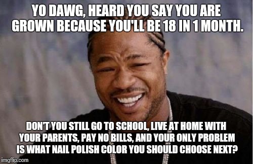 Yo Dawg Heard You | YO DAWG, HEARD YOU SAY YOU ARE GROWN BECAUSE YOU'LL BE 18 IN 1 MONTH. DON'T YOU STILL GO TO SCHOOL, LIVE AT HOME WITH YOUR PARENTS, PAY NO B | image tagged in memes,yo dawg heard you | made w/ Imgflip meme maker