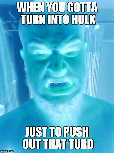 Poopy Hulk | WHEN YOU GOTTA TURN INTO HULK JUST TO PUSH OUT THAT TURD | image tagged in hulk,funny,memes | made w/ Imgflip meme maker
