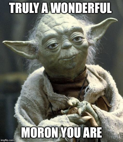 Star Wars Yoda Meme | TRULY A WONDERFUL MORON YOU ARE | image tagged in yoda | made w/ Imgflip meme maker