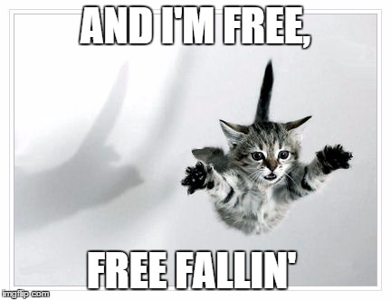 The "Tom Kitty" version of this song... | AND I'M FREE, FREE FALLIN' | image tagged in falling kitten,petty,song lyrics,song,youtube | made w/ Imgflip meme maker