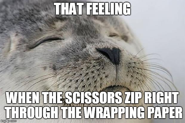 Satisfied Seal | THAT FEELING WHEN THE SCISSORS ZIP RIGHT THROUGH THE WRAPPING PAPER | image tagged in memes,satisfied seal,AdviceAnimals | made w/ Imgflip meme maker