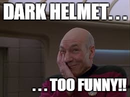 picard smirk facepalm | DARK HELMET. . . . . . TOO FUNNY!! | image tagged in picard smirk facepalm | made w/ Imgflip meme maker