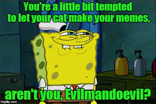 Don't You Squidward Meme | You're a little bit tempted to let your cat make your memes, aren't you, Evilmandoevil? | image tagged in memes,dont you squidward | made w/ Imgflip meme maker