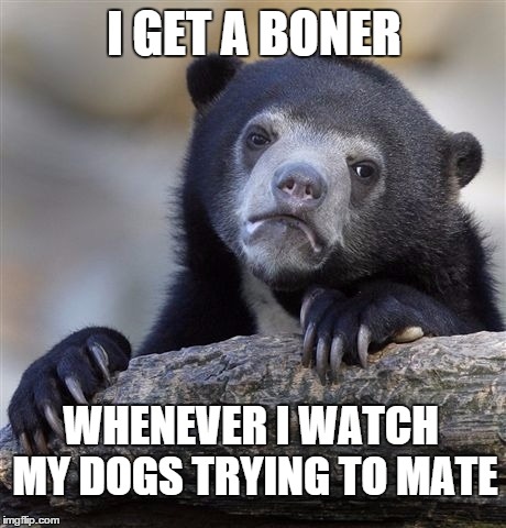 Confession Bear Meme | I GET A BONER WHENEVER I WATCH MY DOGS TRYING TO MATE | image tagged in memes,confession bear | made w/ Imgflip meme maker