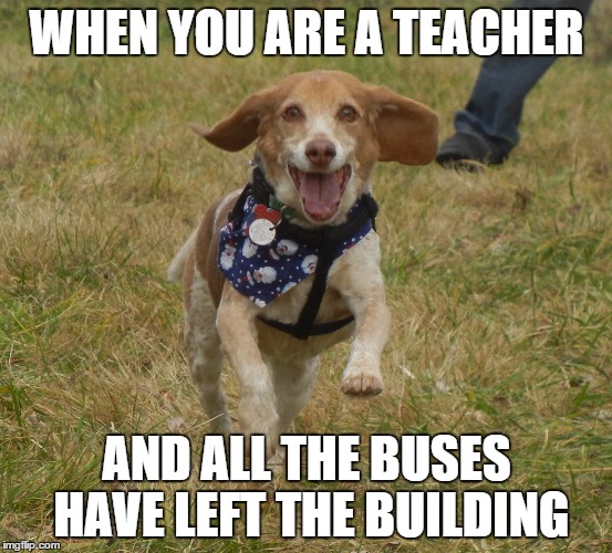 School's Out! | WHEN YOU ARE A TEACHER AND ALL THE BUSES HAVE LEFT THE BUILDING | image tagged in teachers | made w/ Imgflip meme maker