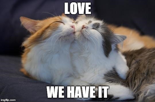 Love | LOVE WE HAVE IT | image tagged in love we have it | made w/ Imgflip meme maker