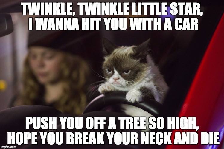 grumpy cat driving | TWINKLE, TWINKLE LITTLE STAR, I WANNA HIT YOU WITH A CAR PUSH YOU OFF A TREE SO HIGH, HOPE YOU BREAK YOUR NECK AND DIE | image tagged in grumpy cat driving | made w/ Imgflip meme maker