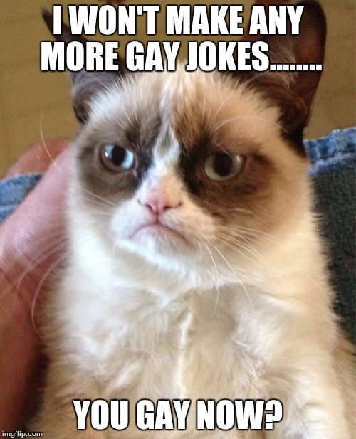Grumpy Cat Meme | I WON'T MAKE ANY MORE GAY JOKES........ YOU GAY NOW? | image tagged in memes,grumpy cat | made w/ Imgflip meme maker