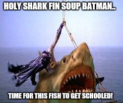 Gimme back my boy wonder! | HOLY SHARK FIN SOUP BATMAN.. TIME FOR THIS FISH TO GET SCHOOLED! | image tagged in memes | made w/ Imgflip meme maker