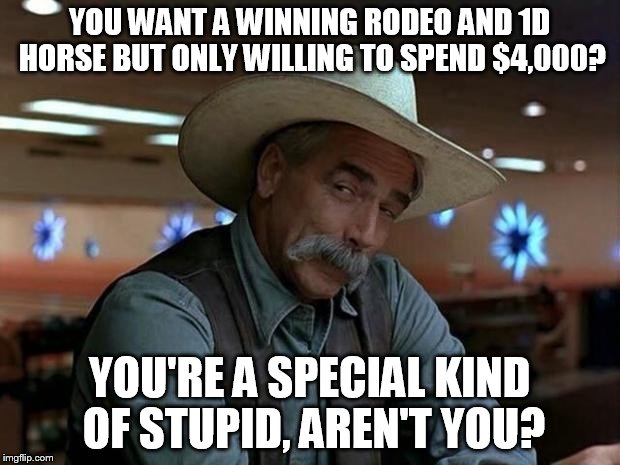 special kind of stupid | YOU WANT A WINNING RODEO AND 1D HORSE BUT ONLY WILLING TO SPEND $4,000? YOU'RE A SPECIAL KIND OF STUPID, AREN'T YOU? | image tagged in special kind of stupid,barrel racer problems,barrel racing,1d horse,rodeo horse,barrel horse | made w/ Imgflip meme maker