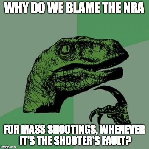 Philosoraptor | WHY DO WE BLAME THE NRA FOR MASS SHOOTINGS, WHENEVER IT'S THE SHOOTER'S FAULT? | image tagged in memes,philosoraptor | made w/ Imgflip meme maker