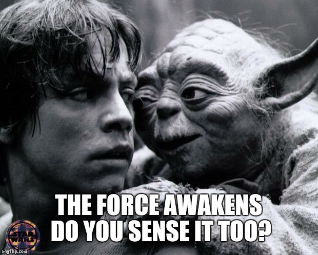 Yoda & Luke | THE FORCE AWAKENS DO YOU SENSE IT TOO? | image tagged in yoda  luke | made w/ Imgflip meme maker