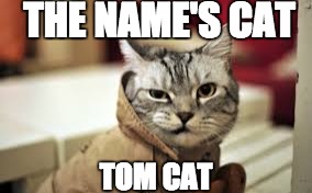 THE NAME'S CAT TOM CAT | image tagged in olol | made w/ Imgflip meme maker