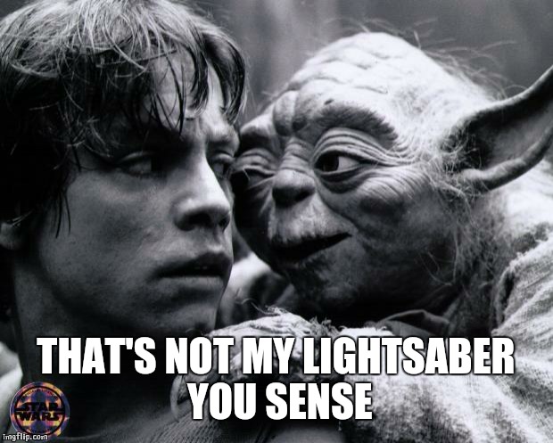 Yoda & Luke | THAT'S NOT MY LIGHTSABER YOU SENSE | image tagged in yoda  luke | made w/ Imgflip meme maker