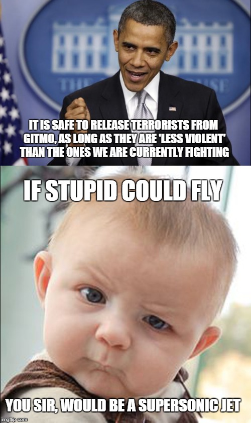 Another special kind of stupid | IT IS SAFE TO RELEASE TERRORISTS FROM GITMO, AS LONG AS THEY ARE 'LESS VIOLENT' THAN THE ONES WE ARE CURRENTLY FIGHTING IF STUPID COULD FLY  | image tagged in memes,not funny,president,skeptical baby,terrorist | made w/ Imgflip meme maker