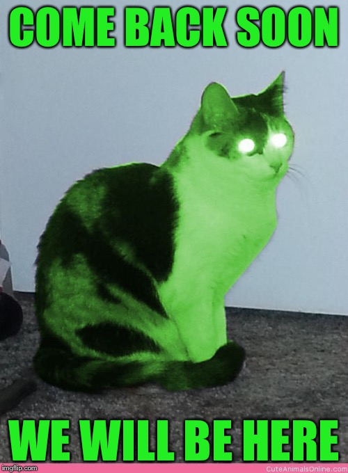 Hypno Raycat | COME BACK SOON WE WILL BE HERE | image tagged in hypno raycat | made w/ Imgflip meme maker