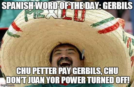 Happy Mexican | SPANISH WORD OF THE DAY: GERBILS CHU PETTER PAY GERBILS, CHU DON'T JUAN YOR POWER TURNED OFF! | image tagged in happy mexican | made w/ Imgflip meme maker