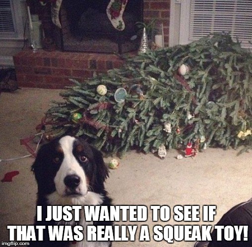 Dog Christmas Tree | I JUST WANTED TO SEE IF THAT WAS REALLY A SQUEAK TOY! | image tagged in dog christmas tree | made w/ Imgflip meme maker