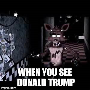 WHEN YOU SEE DONALD TRUMP | image tagged in foxy | made w/ Imgflip meme maker