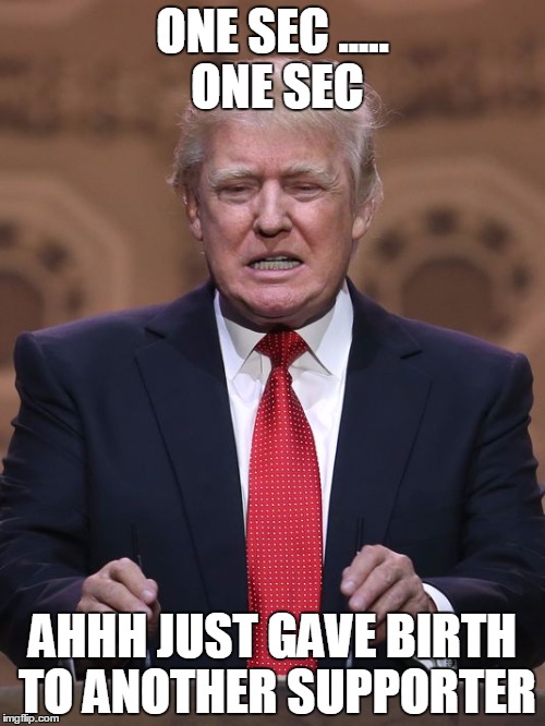 Donald Trump | ONE SEC ..... ONE SEC AHHH JUST GAVE BIRTH TO ANOTHER SUPPORTER | image tagged in donald trump | made w/ Imgflip meme maker