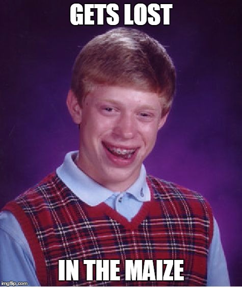 Bad Luck Brian Meme | GETS LOST IN THE MAIZE | image tagged in memes,bad luck brian | made w/ Imgflip meme maker