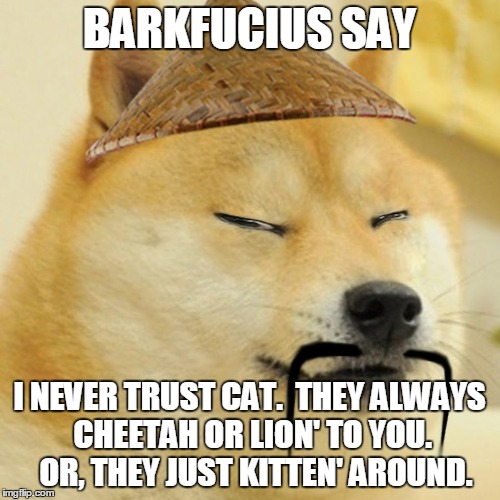 BARKFUCIUS SAY I NEVER TRUST CAT.  THEY ALWAYS CHEETAH OR LION' TO YOU.  OR, THEY JUST KITTEN' AROUND. | made w/ Imgflip meme maker