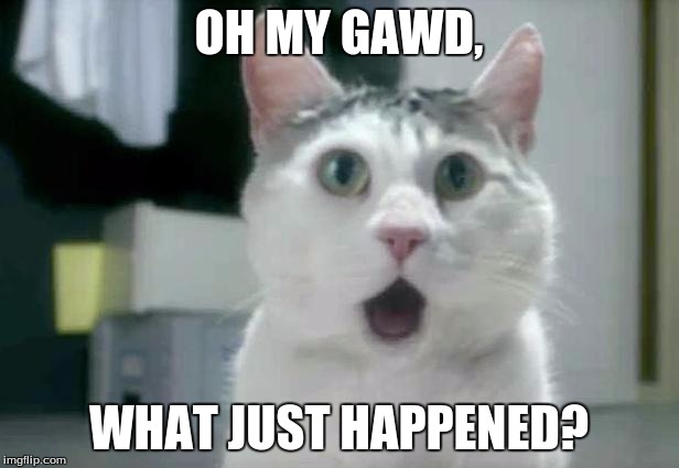 OMG Cat Meme | OH MY GAWD, WHAT JUST HAPPENED? | image tagged in memes,omg cat | made w/ Imgflip meme maker