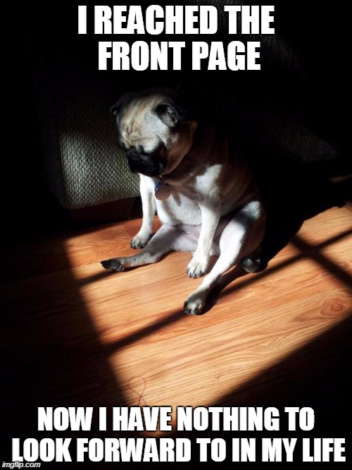 the most popular people on imgflip be like | I REACHED THE FRONT PAGE NOW I HAVE NOTHING TO LOOK FORWARD TO IN MY LIFE | image tagged in depressed pug,meme,front page,get a life | made w/ Imgflip meme maker