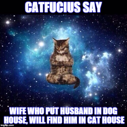 space cat | CATFUCIUS SAY WIFE WHO PUT HUSBAND IN DOG HOUSE, WILL FIND HIM IN CAT HOUSE | image tagged in space cat | made w/ Imgflip meme maker