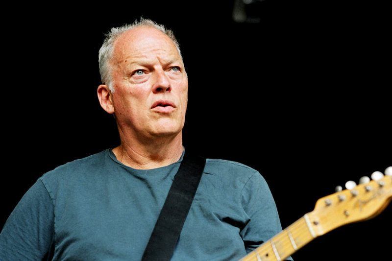 High Quality David Gilmour Blank Meme Template