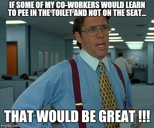 My co-workers | IF SOME OF MY CO-WORKERS WOULD LEARN TO PEE IN THE TOILET AND NOT ON THE SEAT... THAT WOULD BE GREAT !!! | image tagged in memes,that would be great | made w/ Imgflip meme maker
