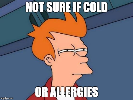 Futurama Fry Meme | NOT SURE IF COLD OR ALLERGIES | image tagged in memes,futurama fry | made w/ Imgflip meme maker