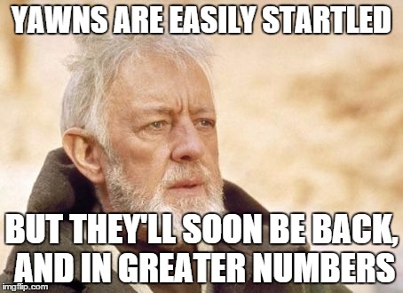 Obi Wan Kenobi Meme | YAWNS ARE EASILY STARTLED BUT THEY'LL SOON BE BACK, AND IN GREATER NUMBERS | image tagged in memes,obi wan kenobi | made w/ Imgflip meme maker