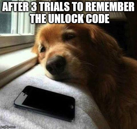 Lovesick | AFTER 3 TRIALS TO REMEMBER THE UNLOCK CODE | image tagged in lovesick,phone,cell phone,technology,code | made w/ Imgflip meme maker