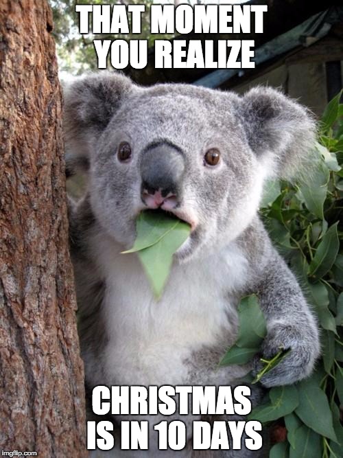 Surprised Koala | THAT MOMENT YOU REALIZE CHRISTMAS IS IN 10 DAYS | image tagged in memes,surprised koala | made w/ Imgflip meme maker