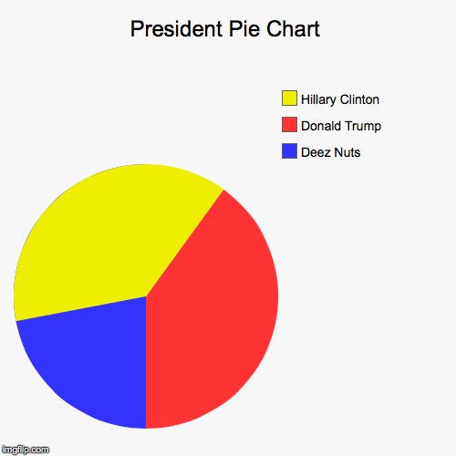 image tagged in funny,pie charts | made w/ Imgflip chart maker