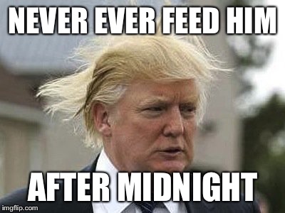 Good advice | NEVER EVER FEED HIM AFTER MIDNIGHT | image tagged in donald trump,trump | made w/ Imgflip meme maker