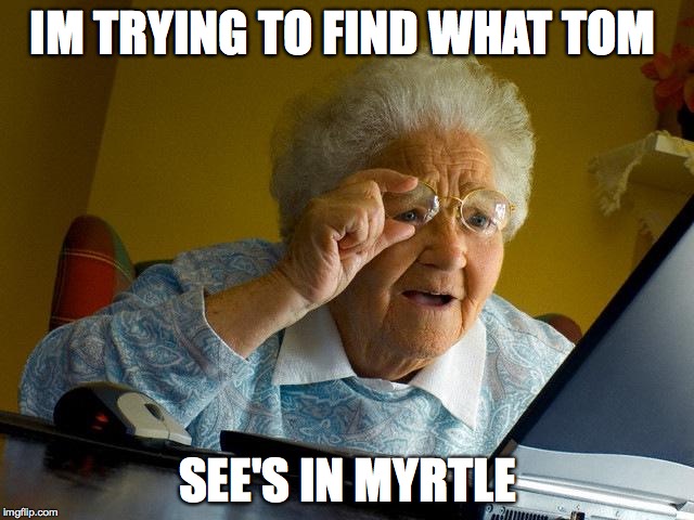 Grandma Finds The Internet | IM TRYING TO FIND WHAT TOM SEE'S IN MYRTLE | image tagged in memes,grandma finds the internet | made w/ Imgflip meme maker