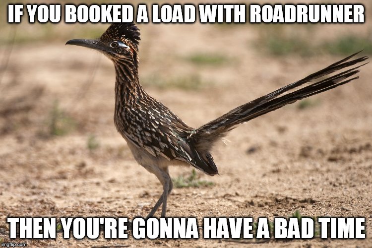 Road Runner | IF YOU BOOKED A LOAD WITH ROADRUNNER THEN YOU'RE GONNA HAVE A BAD TIME | image tagged in road runner | made w/ Imgflip meme maker