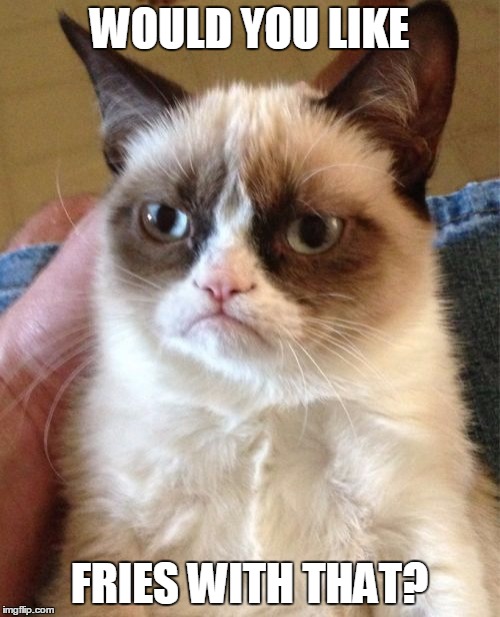 Grumpy Cat Meme | WOULD YOU LIKE FRIES WITH THAT? | image tagged in memes,grumpy cat | made w/ Imgflip meme maker