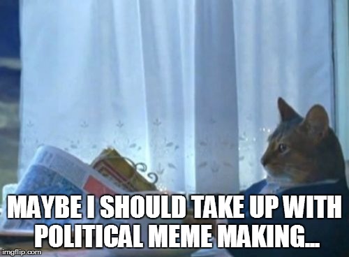 I Should Buy A Boat Cat Meme | MAYBE I SHOULD TAKE UP WITH POLITICAL MEME MAKING... | image tagged in memes,i should buy a boat cat | made w/ Imgflip meme maker