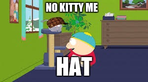 carment | NO KITTY ME HAT | image tagged in cats | made w/ Imgflip meme maker